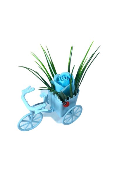 dalimag Aranjament Floral, Bicicleta Albastra, Trandafir Albastru-Deschis, Parfumat, Buburuza