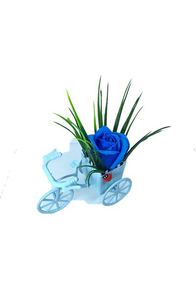 dalimag Aranjament floral, bicicletă albastră, trandafir albastru, parfumat, buburuză,