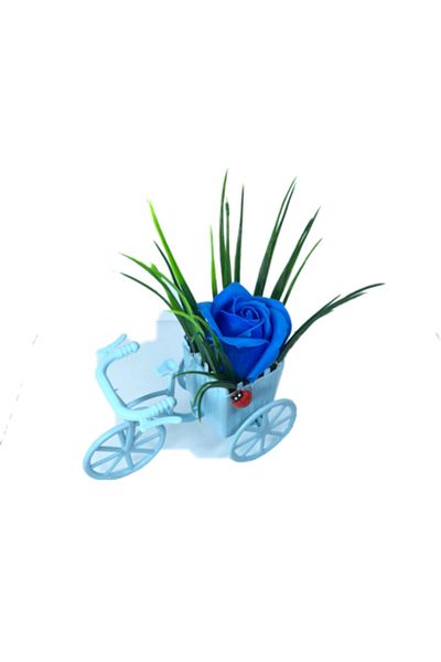 dalimag Aranjament floral, bicicletă albastră, trandafir albastru, parfumat, buburuză,