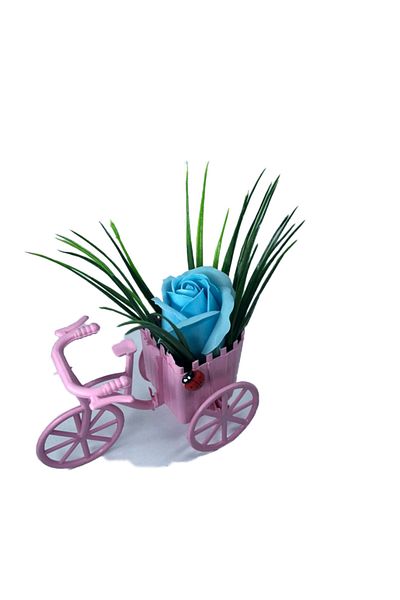 dalimag Aranjament Floral, Bicicleta Roz, Trandafir Albastru, Parfumat, Buburuza