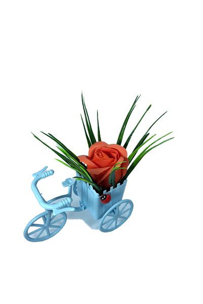 dalimag Floral Arrangement, Blue Bicycle, Dark Orange Rose, Scented, Ladybug,
