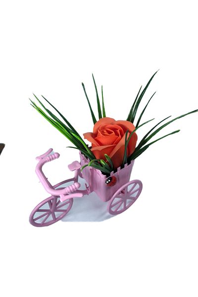 dalimag Floral Arrangement, Pink Bicycle, Dark Orange Scented Rose, Ladybug,