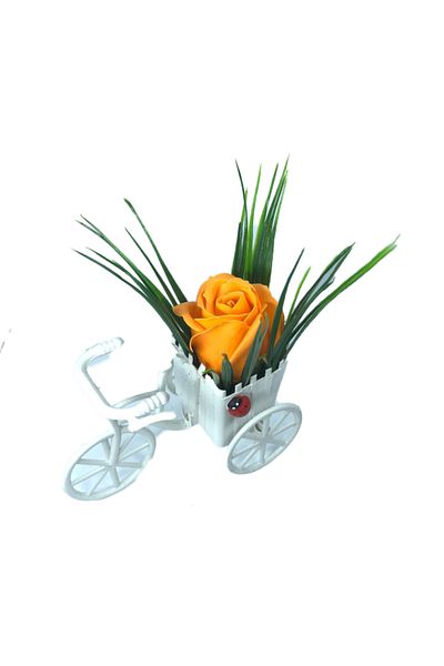 dalimag Floral Arrangement, White Bicycle, Orange Rose, Fragrant, Ladybug,