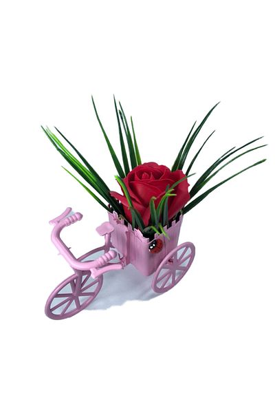 dalimag Floral Arrangement, Pink Bicycle, Red Soap Rose, Ladybug by