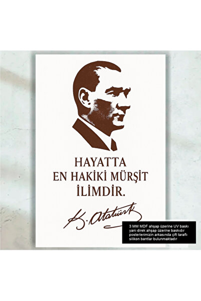 the most genuine mentor in life is science Mustafa Kemal Atatürk's words retro wooden poster painting
