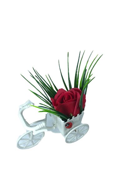 dalimag Floral Arrangement, White Bicycle, Red Rose, Fragrant, Ladybug,