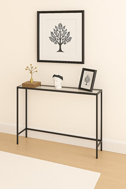 AVİBO HOME Zerura Siyah Çerçeveli Cam Raflı Dresuar Modern İnce Tasarım "100*85*20"