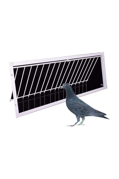 TRADE BAY Pigeon Trap Door 100cm long, güvercin kapanı kapısı