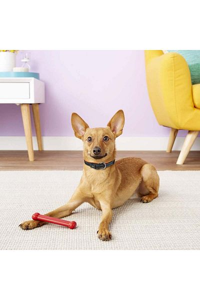 MASBRILL reflective dog leash, neoprene/nylon, orange, L, 45-53 cm
