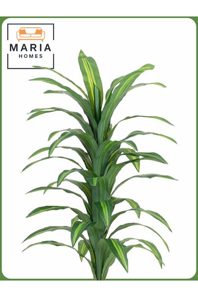 MARIA HOMES Artificial Corn Leaf Tree 145 cm – Decorative Indoor Plant with new White Pot