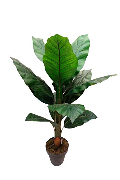 MAKİ DEKOR YAPAY DİFENBAHYA 100 CM 12 YAPRAKLI İÇ MEKAN SALON, İŞ YERİ AĞACI