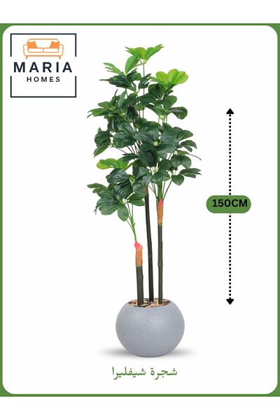 MARIA HOMES Artificial Schefflera Tree 150 cm – Decorative Indoor Plant with Light Gray Pot