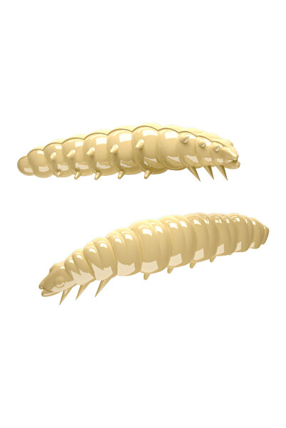 Lures Larva Cheese Artificial Feed with 35 Mm Cheese 005