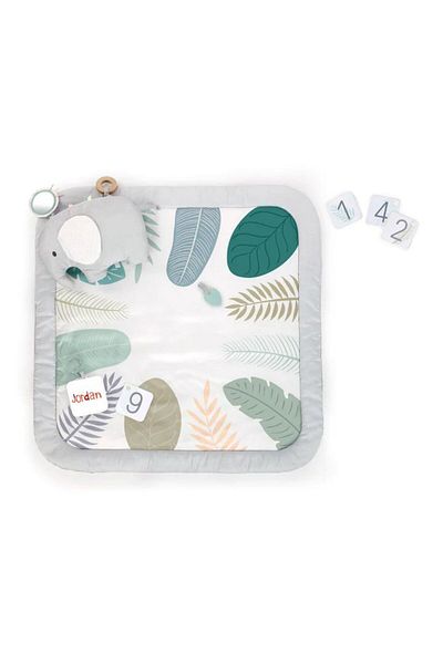 Ingenuity Sprout Spot Baby Milestone Play Mat, 0-36 Months