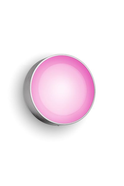 Philips Hue WCA Daylo Outdoor Wall Lantern, Inox | Philips Hue