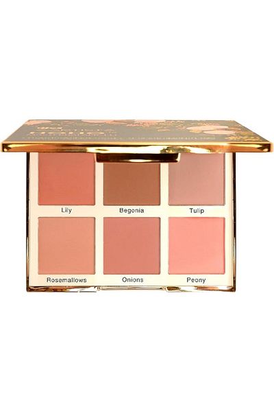 Artista CINEMA MAKE UP Makeup Palette Blusher Masterbalanced Hoho