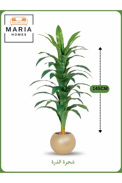MARIA HOMES Artificial Corn Leaf Tree 145 cm – Decorative Indoor Plant with Gold Pot