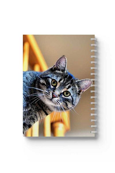 LOWHA Spiral Notebook with Front and Back Hard Covers Featuring Cat Design