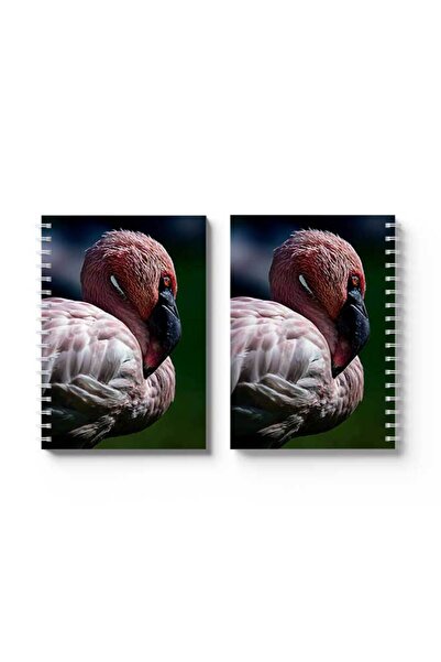 LOWHA دفتر ملاحظات حلزوني مع غلافين أمامي وخلفي صلبين بتصميم طائر الفلامنغو