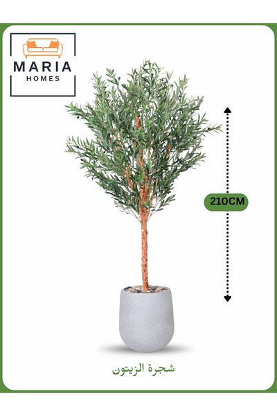 MARIA HOMES Artificial Olive Tree 210 cm – Large Indoor Decorative Tree with Gray Pot