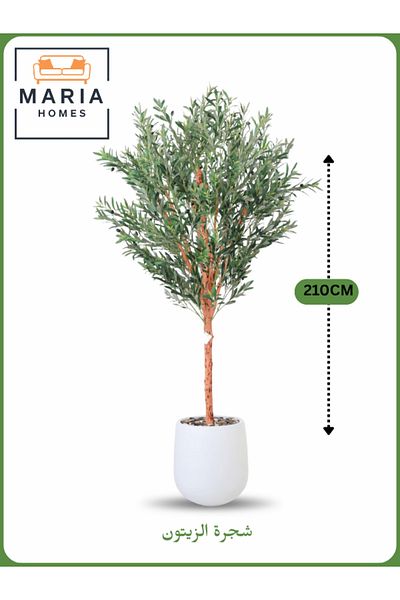MARIA HOMES Artificial Olive Tree 210 cm – Large Indoor Decorative Tree with White Pot