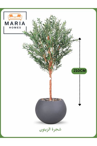 MARIA HOMES Artificial Olive Tree 210 cm – Large Decorative Tree with Dark Gray Pot