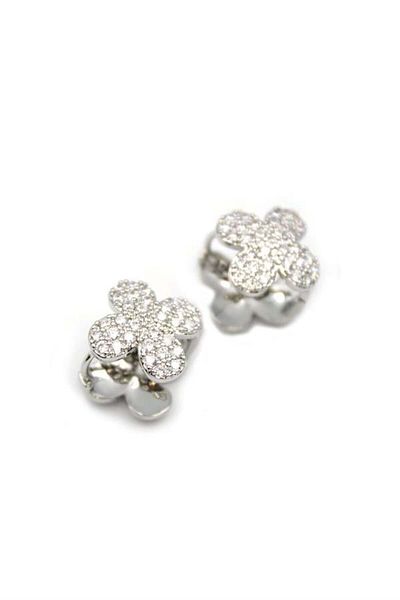 Rasanet Stoned Vc Earrings - Silver