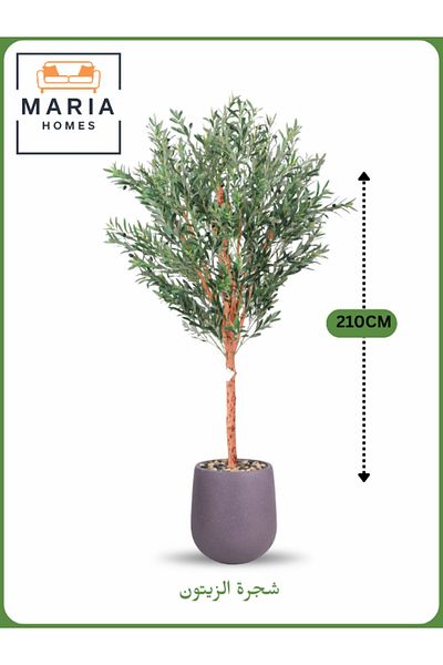 MARIA HOMES Artificial Olive Tree 210 cm – Large Indoor Decorative Tree with PURPLE-GRAY Pot