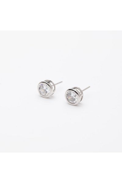 ElectraStore Shiny Silver Earrings