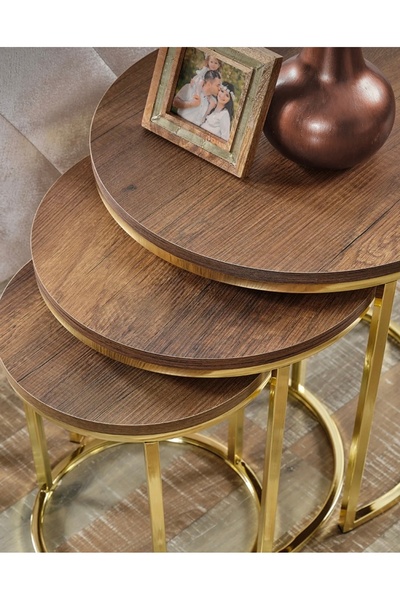 AlberoLife 3'lü Lüx C Zigon Sehpa Gold Ayak ANTİK ÇAM SUNTALAM TABLA