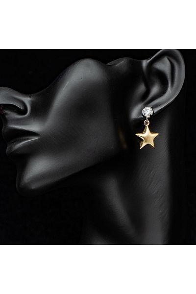 ElectraStore Gold Plated Star Earrings
