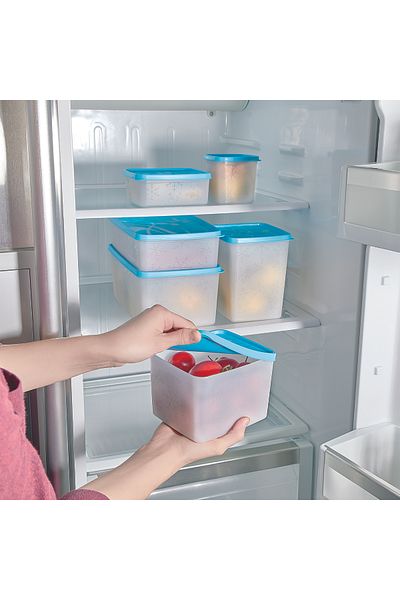 Righton Alaska Deep Freezer Luxury Storage Container Set of 6