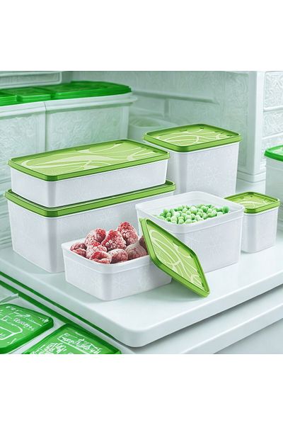 Righton Alaska Deep Freezer Luxury Storage Container Set of 6
