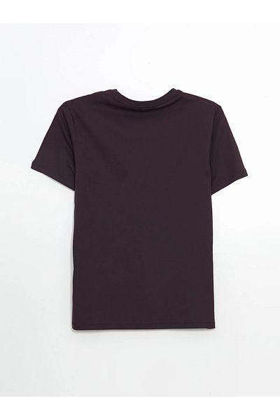LC Waikiki Crew Neck Printed Men's T-Shirt