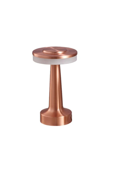 DS-DERIN NOAS-YL86-1233-GIRIT MASA LAMBASI ŞARJ EDİLEBİLİR BRONZ-3 RENK IŞIK