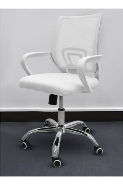 rexa White mesh ergonomic swivel office chair