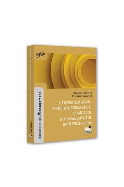 Editura Pro Universitaria Entrepreneur, small and medium-sized enterprise