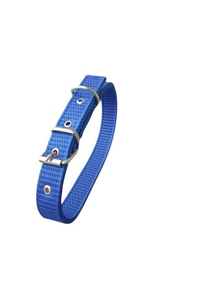 OEM Zgardă textilă albastră, 60 x 2,5 cm, pentru câini