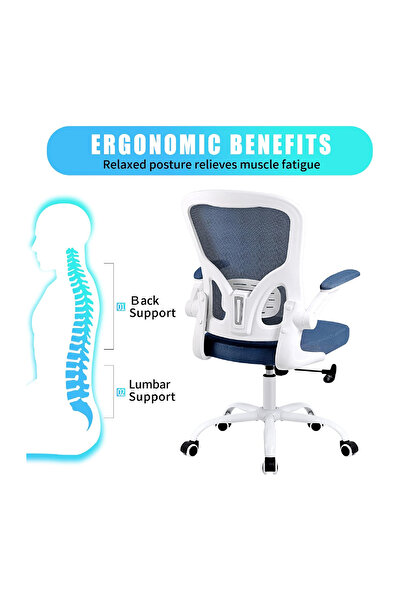 rexa Swivel Office Chair