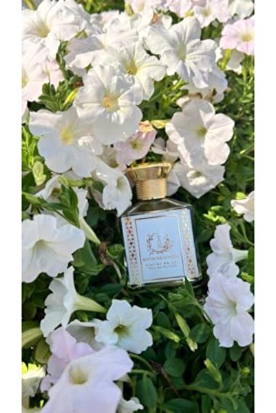 JAN LONDON Rayon de Lumiere Eau de Parfum 100ml | Crisp Citrus & Amber Scent Inspired by Italian Riviera