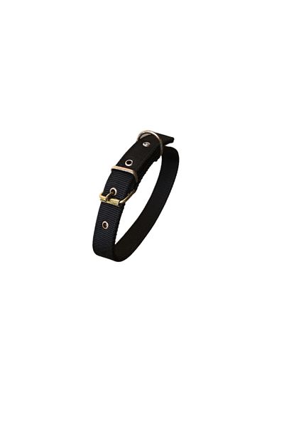 OEM Zgardă textilă neagră, 60 x 2,5 cm, pentru câini