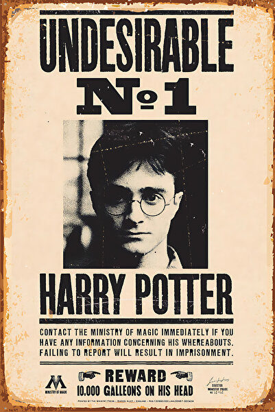 Hayal Poster Harry Potter 20x30 UV Baskı MDF Retro Ahşap Poster Tablo