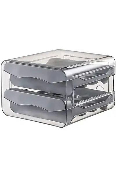Aptel Refrigerator egg container, 32 eggs, plastic, gray/transparent