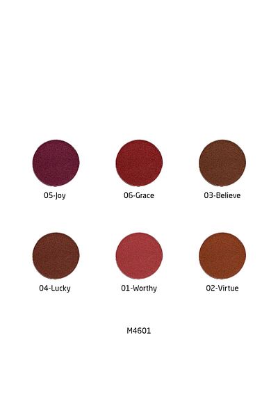 Makeover22 Sweet Cheek Blush & Tint-M4601