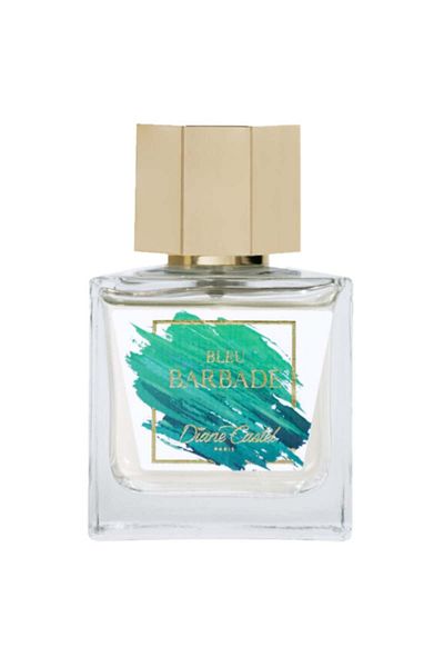 Diane Castel Barbados Blue Perfume Apa 100 ml, unisex
