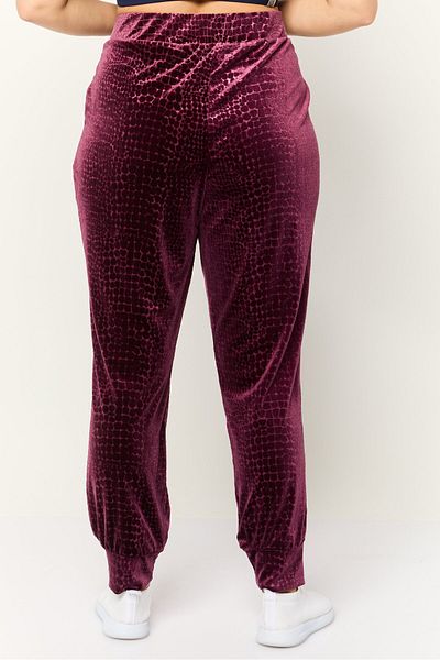 Cable&Gauge Women Textured Velvet Fleece Jogger Pants, Maroon