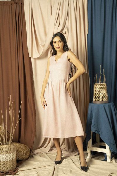 Nichii Solid Midi Dress with Ruffles