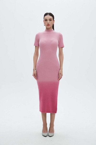 Nichii Color-Block High Neck Midi Dress with Half Sleeves
