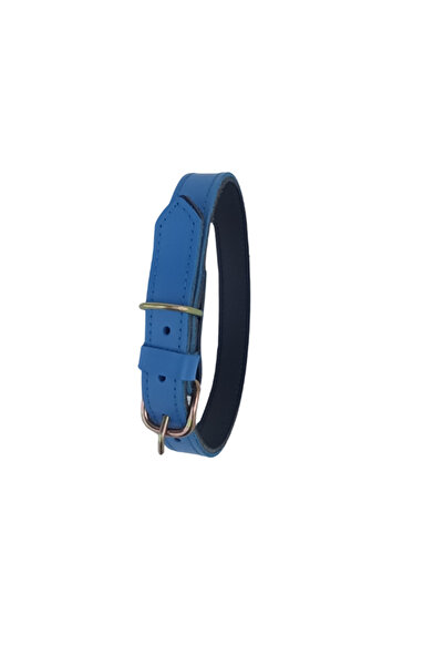 OEM Μπλε κολάρο από γνήσιο δέρμα, 60 x 2,5 cm, για σκύλους