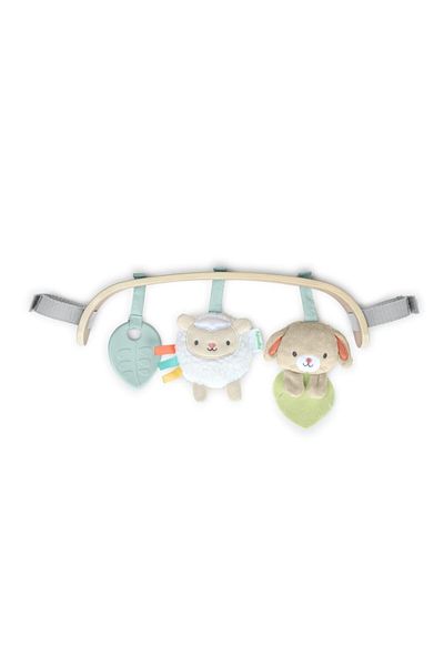Ingenuity Wonder & Wood Carrier Toybar, 0 - 12 months